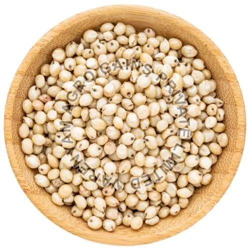 White Sorghum Seeds