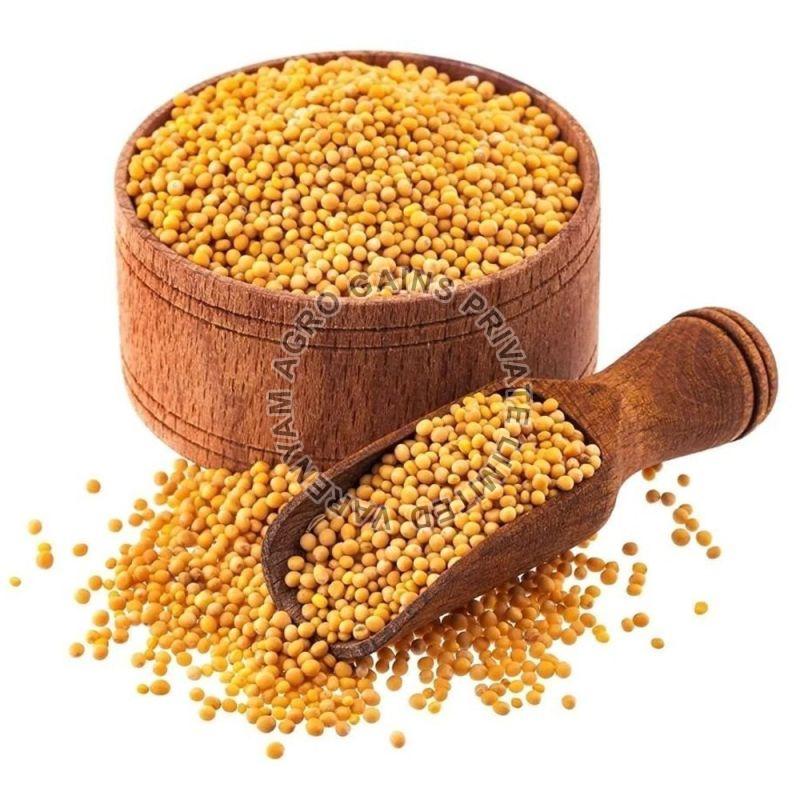 Yellow Mustard Seeds