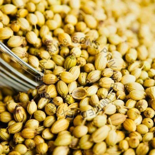 Coriander Seeds