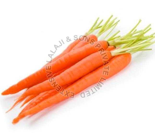 Fresh Carrot