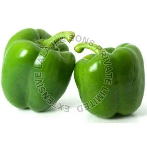 Fresh Green Capsicum