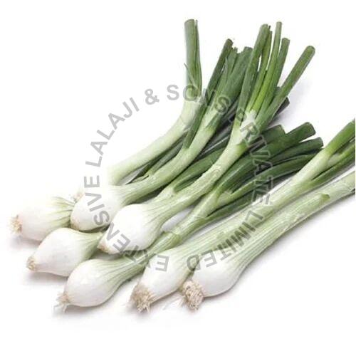 Fresh Green Onion