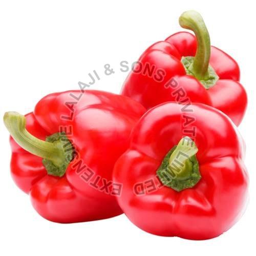 Fresh Red Capsicum