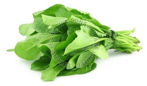 Fresh Spinach