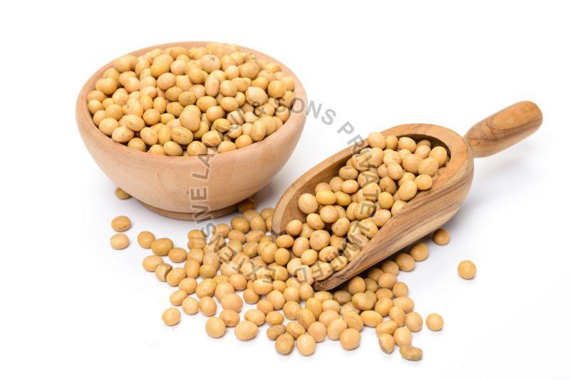 Soya Beans