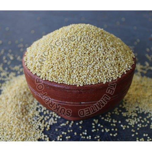 Kodo Millet