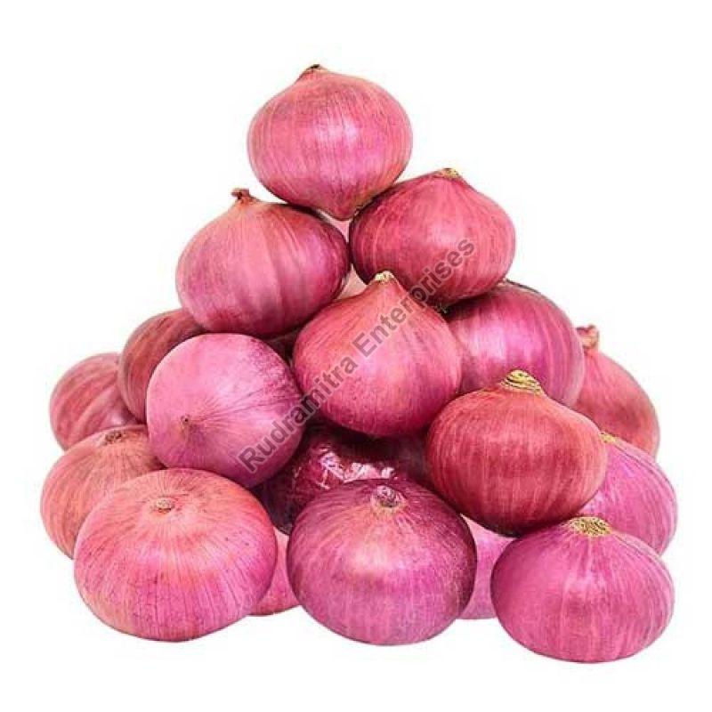 A Grade Red Onion