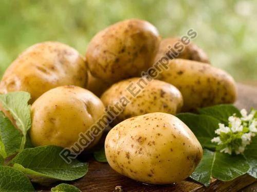 Natural Potato