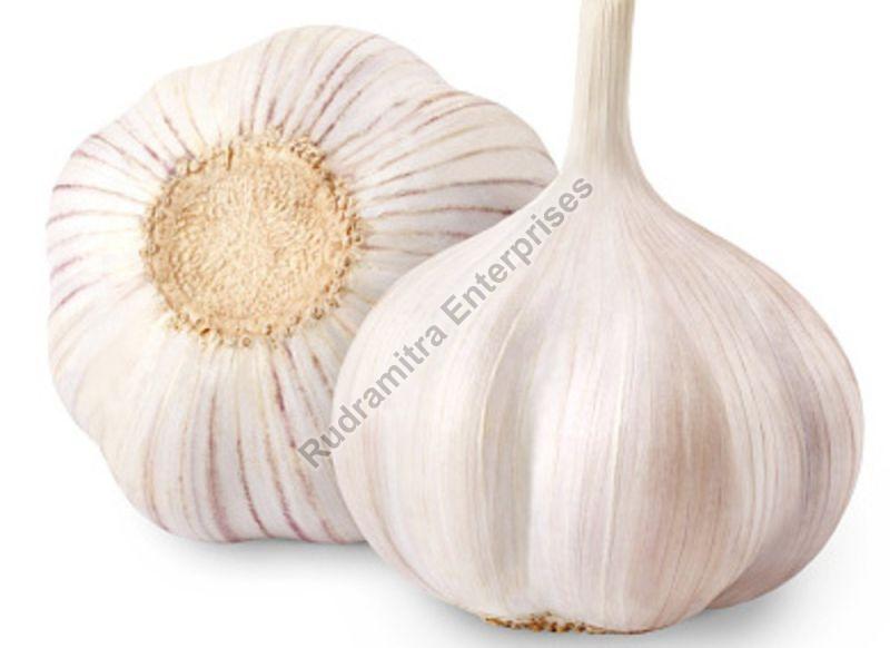 White Garlic