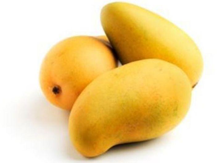 Fresh Malgova Mango