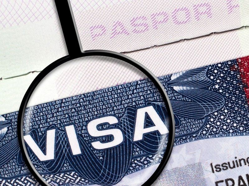Visa Guidance And Support Service