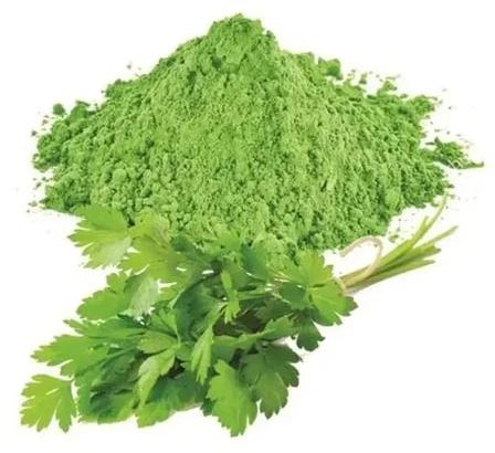 Dried Green Coriander Powder