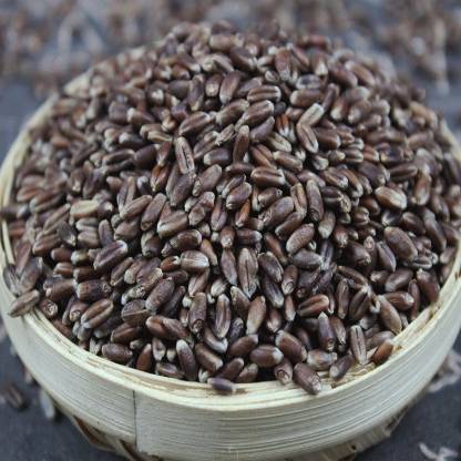 Organic Black Wheat Seeds