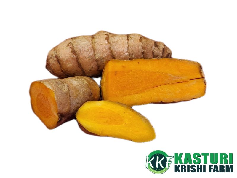 Raw Wet Turmeric (organic)