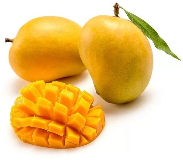 Alphonso Mango