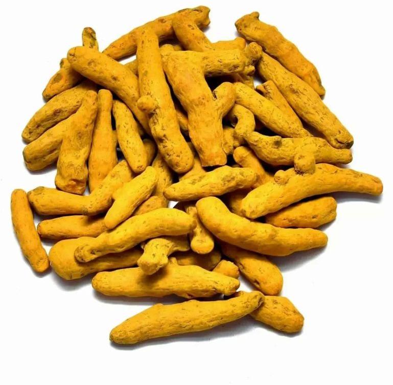 Salem Turmeric Finger