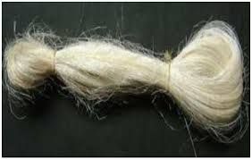 Sisal Fibre