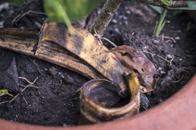 Banana Peel Fertilizer