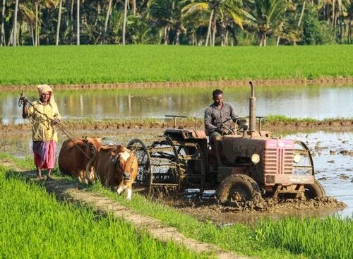 Agricultural Labour Service