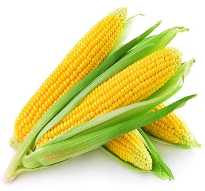 Yellow Corn