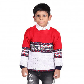 Boys Stylish Sweater