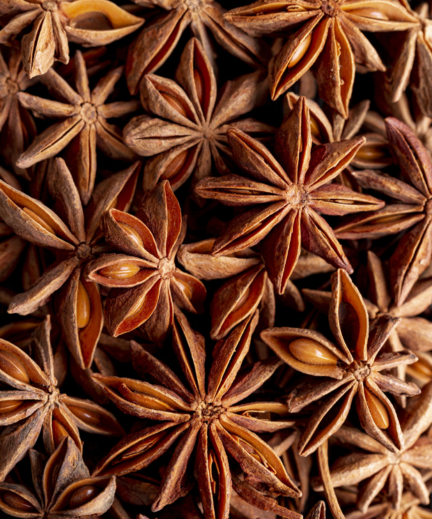 Star Anise