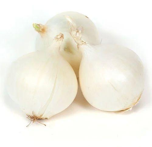 A Grade Maharashtra Fresh White Onion