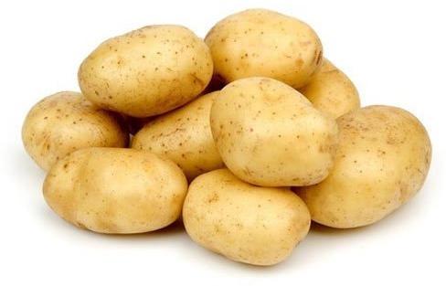 Fresh Organic Potato