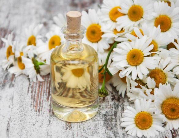 Chamomile Oil Manufacturer,Chamomile Oil Exporter & Supplier from Ghaziabad India