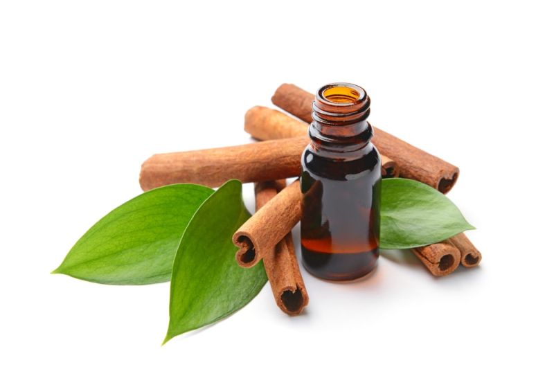 Cinnamon Leaf Oil Manufacturers in India