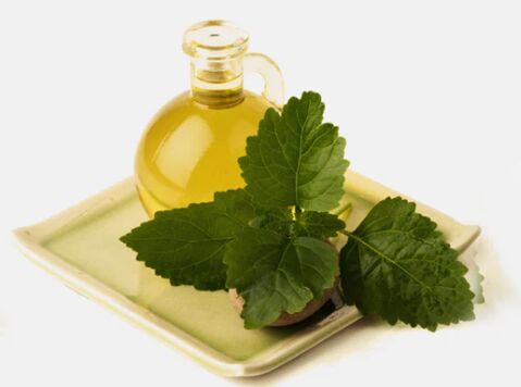 Patchouli oil Manufacturers in India