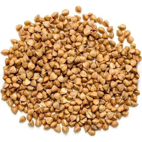 Organic Buckwheat Seeds