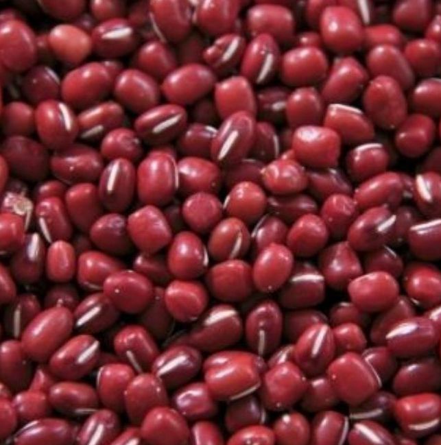 Red Kidney Beans Manufacturer Exporter Supplier from Bangalore India
