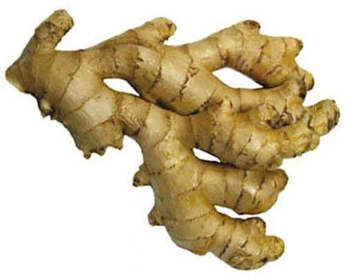 Organic Fresh Ginger