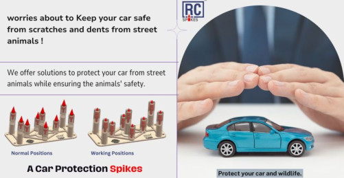 Car Protection Spikes