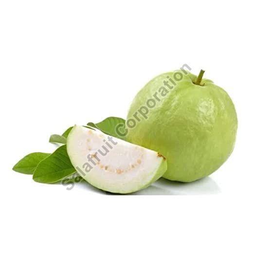 fresh guava