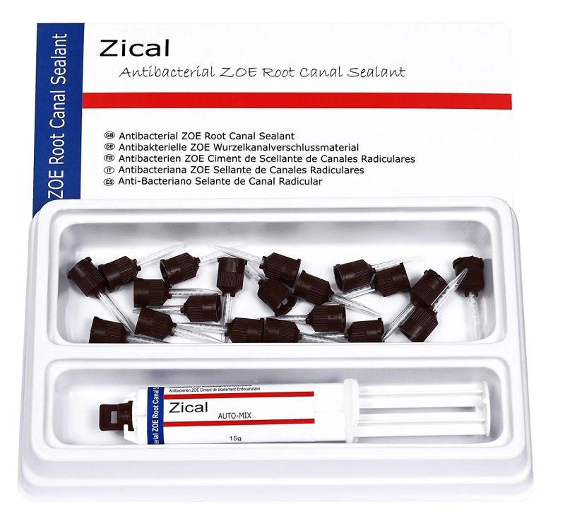 Prevest Zical Automix Paste ZOE Dental Root Canal Sealent