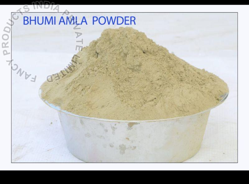 Bhoomi Amla Powder