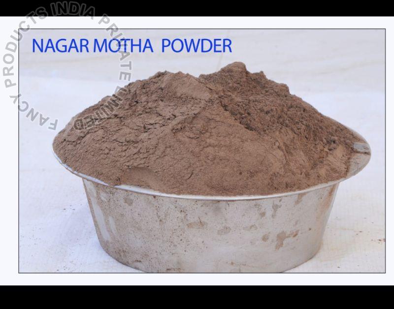 Nagarmotha Powder