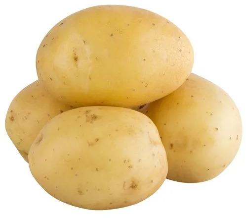 A Grade Fresh Potato