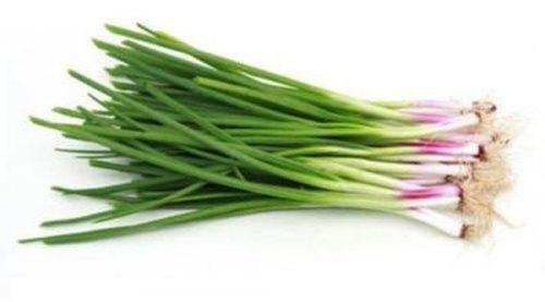 A Grade Spring Onion