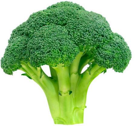 Fresh Broccoli