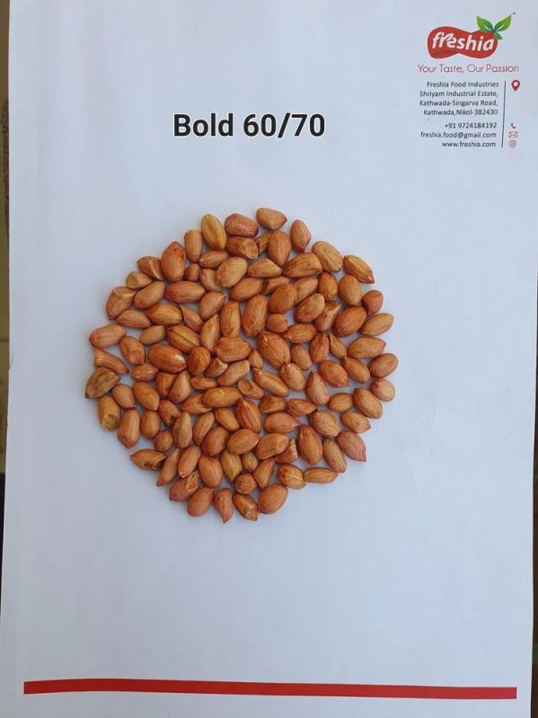 Groundnut Seeds G20