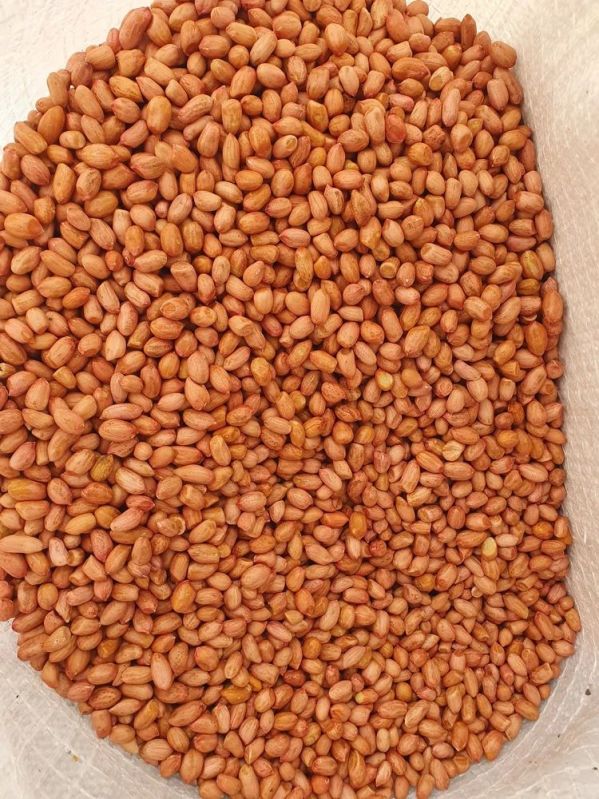 Legumes Peanut Seeds