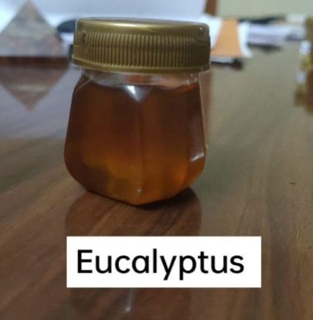 Eucalyptus Honey