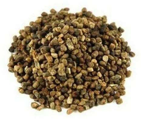 Green Cardamom Seeds