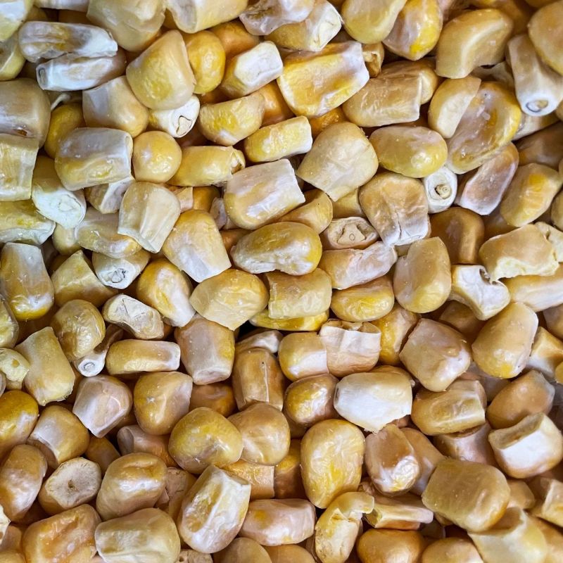 Freeze Dried Sweet Corn