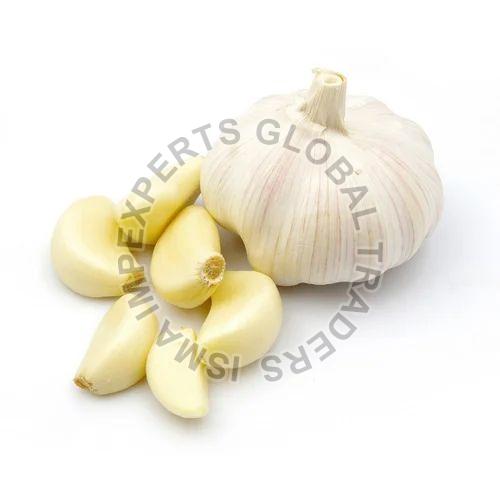 Fresh Garlic