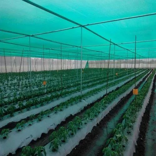 HDPE Agro Shade Net