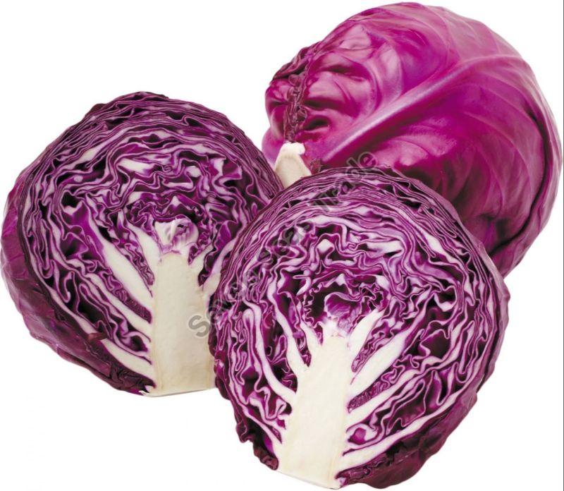 Fresh Purple Cabbage